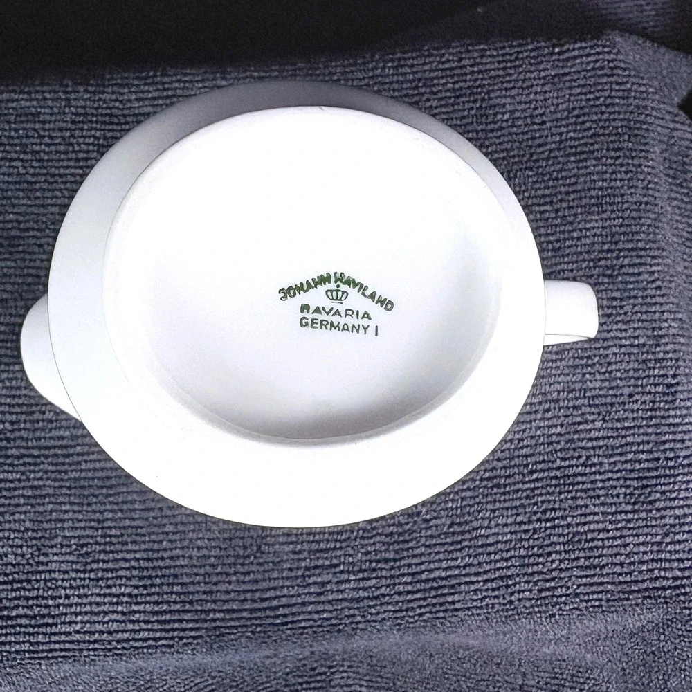 Johann Haviland Bavarian China‎ Forever Spring Creamer & Sugar